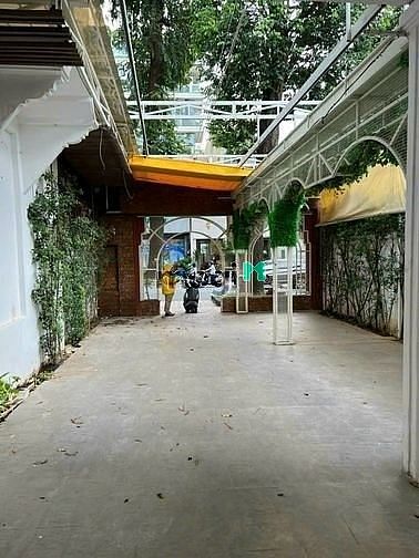 Hình ảnh Cho thuê Villa MT Trần Quốc Thảo, Quận 3