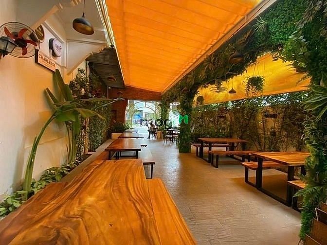 Hình ảnh Cho thuê Villa MT Trần Quốc Thảo, Quận 3