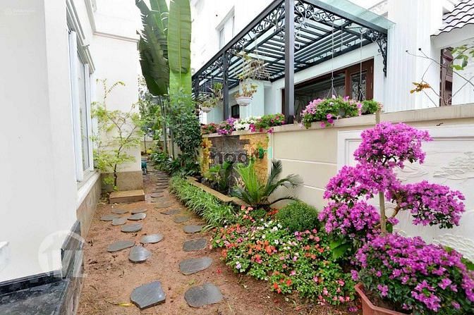 Hình ảnh Biệt Thự Đường số 5, Phường 17, Gò Vấp