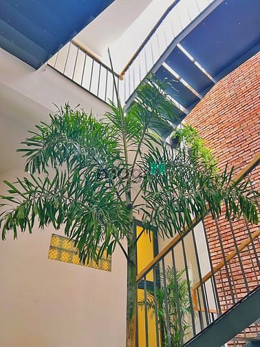 Hình ảnh 🌇Trang Chủ MB66.COM Chính Thức Cao Cấp Đường Võ Thị Sáu Q3_Ban Công_Full NT🌇