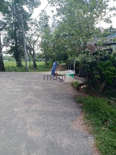 Hình ảnh Bán gấp lô đất 2MT 310m2, Hòa Thành, Tây Ninh, Giá 950 Triệu.