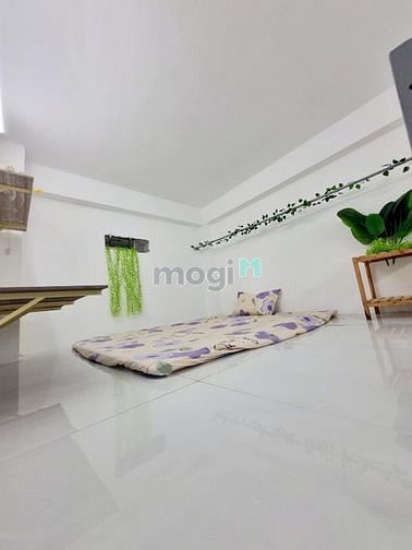 Hình ảnh Mb6623 nạp rút nhanh chóng cho thuê có gác gần đh Công thương Tân Phú