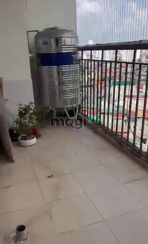 Hình ảnh Chính chủ cho thuê Trang Chủ MB66.COM / Đăng Ký Tặng 66K D22 Trần Bình