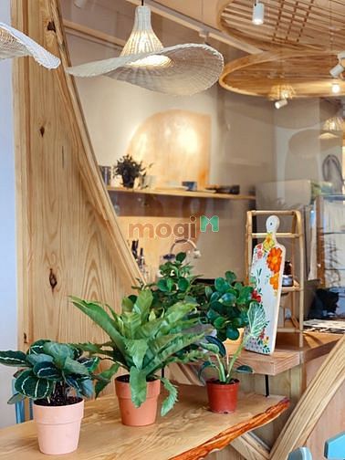 Hình ảnh 🌟🌟1PN_Bao phí_Siêu Rộng_Giá tốt nhất tại Q1🌟🌟