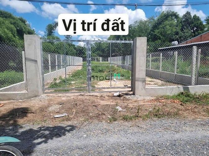 Hình ảnh RA GẤP 150m2 thổ cư Xã Cẩm Giang Gò Dầu SHR Bao Sang Tên