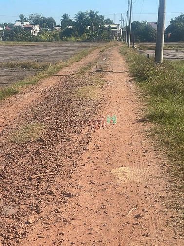 Hình ảnh Thanh lý nhiều lô đất TRUÔNG MÍT - DMC, hơn 100m2 chỉ 256tr
