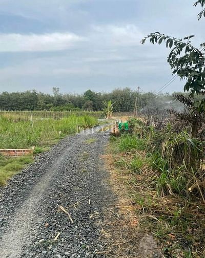 Hình ảnh MUA NHANH BÁN LẸ ĐẤT Long Hoà, H. Bến Cầu giá 790tr SHR