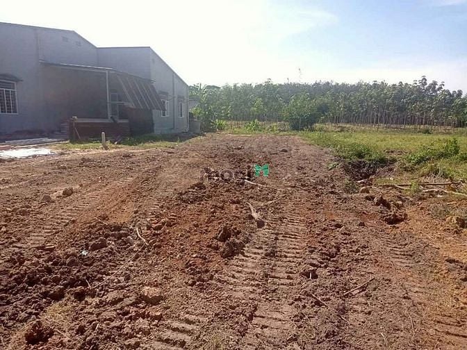 Hình ảnh BAO SANG TÊN Đất Full Thổ cư 125m2 Chỉ 360tr SHR Ngay Ấp Rộc Thạnh Đức