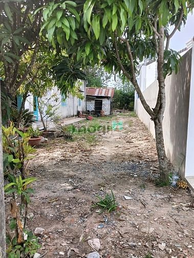 Hình ảnh Đất Thị Xã hòa thành TP tây ninh full thổ cư chỉ 520tr quá rẻ