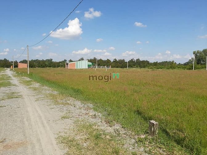 Hình ảnh THANH LÝ ĐẤT Hiệp Thạnh, Tây Ninh, 100m2, 420 triệu, SHR