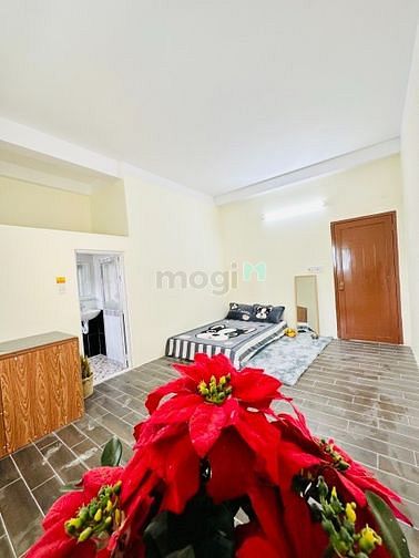 Hình ảnh CĂN HỘ Studio 26m2 CỬA SỔ Nội Thất Cơ Bảnc - Tân Trụ, P15, Tân Bình
