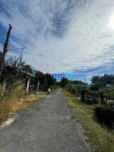 Hình ảnh ĐẤT CÁCH TRƯỜNG NGUYỄN THỊ MINH KHAI 200m ! * Ấp Đồng Cỏ Đỏ, xã Bình M