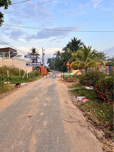 Hình ảnh SỞ HỮU NGAY ĐẤT Thanh Phước,Gò Dầu, Tây Ninh, 75m2, 320 triệu