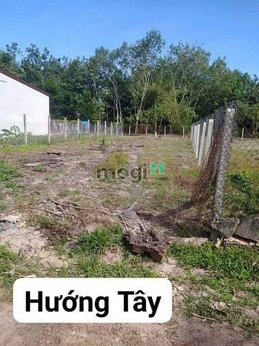 Hình ảnh Đất hẻm nhánh bàu ếch Ngang 5x35m. Thổ cư 50m2 Giá lỗ 390tr hết đất