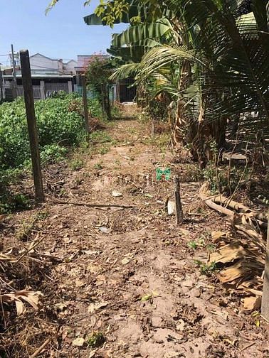 Hình ảnh Hơn 2000m2 đất ở đô thị + CLN Thị trấn Gò Dầu giá chỉ 580tr ✅Thị trấn