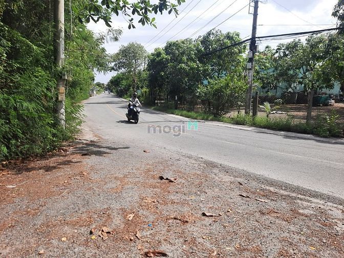 Hình ảnh Bán đất vườn Cần Giờ chính chủ - 2.378m2- 12 tỷ