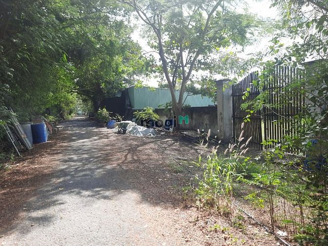 Hình ảnh Bán đất vườn Cần Giờ chính chủ - 2.378m2- 12 tỷ