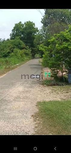 Hình ảnh CẮT LỖ 246m2 Xã Phước Ninh Chỉ 460tr SHR