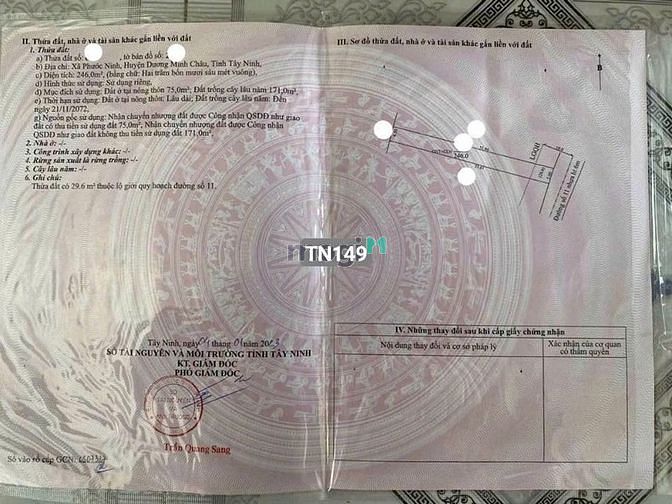 Hình ảnh CẮT LỖ 246m2 Xã Phước Ninh Chỉ 460tr SHR