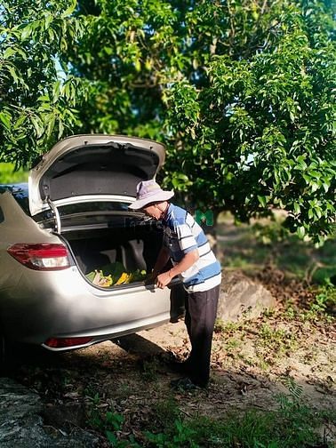 Hình ảnh Bán lô đất rẫy diên điền, diên khánh