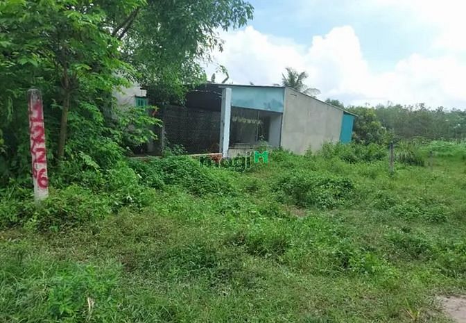 Hình ảnh Sổ sẵn 💯 THỔ CƯ công chứng ngay 🪧Dt:  6m  x  36m__ Hẻm pêtông Trần v