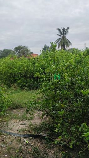 Hình ảnh Bến Rộng - Thạnh Đức - Gò Dầu - Tây Ninh ✌🏽 07 LÔ ĐẤT SẴN SỔ, FULL TH