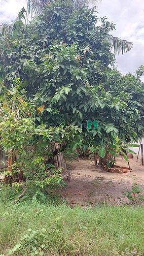 Hình ảnh Bám đất đẹp P NINH THẠNH TP TÂY NINH vị trí cách đường ĐIỆN BIÊN PHỦ c