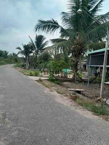 Hình ảnh Bán đất Thạnh Bình, Tân Biên, Tây Ninh thổ cư hết 160m2 giá chỉ 455tr