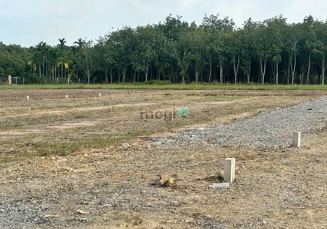 Hình ảnh Phước Đông lấy đâu ra lô đất 5x24 full thổ cư chỉ có 243tr. Đất cách n