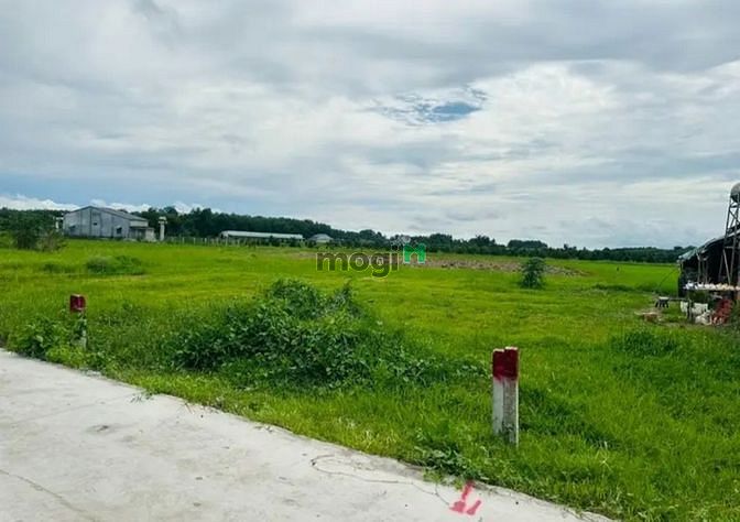 Hình ảnh ĐẤT VÀNG TRAO TAY Ngay thị trấn Tân Châu 125m2 full thổ cư SHR