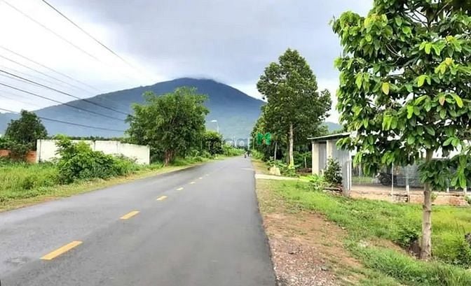 Hình ảnh Cần bán đất mặt tiền đường Tân Bình tptn. Tổng diện tích 2.165m2. Có 5