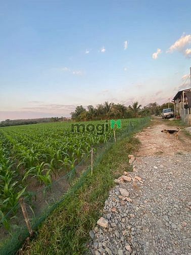 Hình ảnh CẦN BÁN đất thích hợp ở  & kinh doanh + Diện tích 125m2 💢
