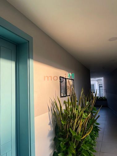 Hình ảnh ✅ Căn Hộ Studio Tách Bếp Chợ Bà Chiểu
