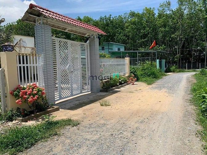 Hình ảnh 💥 Đất đẹp đường thông ( 5 x 47 50TC )