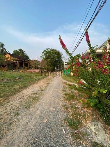 Hình ảnh Ấp xóm khánh.xã long giang.bến cầu. 5x50 full thổ cư..9 nền liền kề