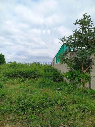 Hình ảnh 1 sẹt Hội Thạnh 174m2 giá 1 tỷ 230Triệu