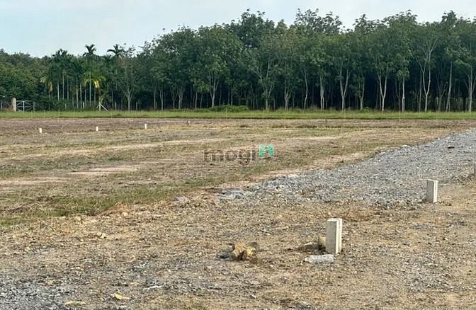 Hình ảnh Phước Đông lấy đâu ra lô đất 5x24 full thổ cư chỉ có 450tr. Đất cách n