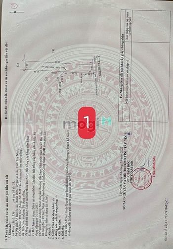 Hình ảnh Chủ gửi bán đất ở ấp Rộc B - Thạnh Đức - Gò Dầu - Tây Ninh Đất bằng ph