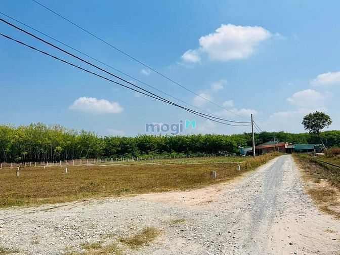 Hình ảnh Chủ gửi bán đất ở ấp Rộc B - Thạnh Đức - Gò Dầu - Tây Ninh Đất bằng ph