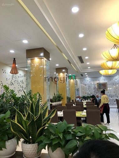 Hình ảnh Cho thuê MT Nguyễn Đình Chiểu DTSD: 500m2, giá 50tr 9x25m.