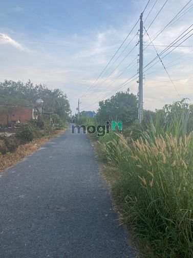 Hình ảnh bán căn nhà mặt tiền nhựa hiệp thạnh  👉👉 10x38 thổ 100m2 + CLN  👉