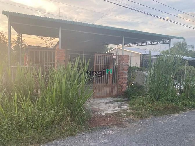 Hình ảnh bán căn nhà mặt tiền nhựa hiệp thạnh  👉👉 10x38 thổ 100m2 + CLN  👉