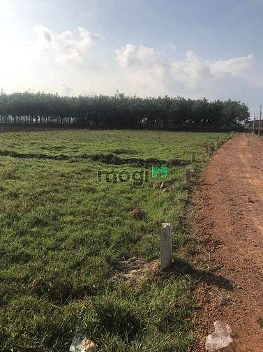 Hình ảnh Ninh Sơn-Ninh Bình-TP Tây Ninh.Chính chủ bán gấp 300m2, 350 tr, SHR