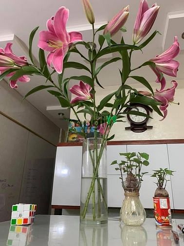 Hình ảnh Bán CH 2PN MT đường Bàu Cát 2, P14, Tân Bình