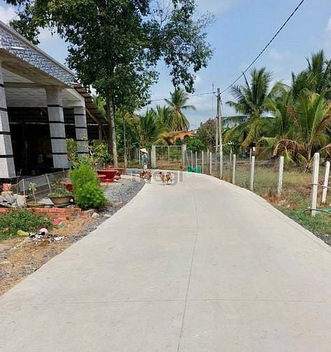 Hình ảnh Cơ hội có 1 0 2 anh chị ơi!!! E cần bán ra nhanh lô đất  thuộc bến cầu