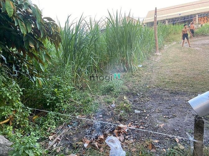 Hình ảnh Ấp trảng sa , đôn thuận tx trảng bàng Tây ninh