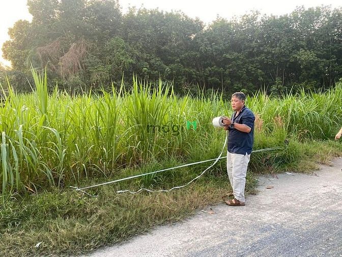 Hình ảnh Ấp trảng sa , đôn thuận tx trảng bàng Tây ninh