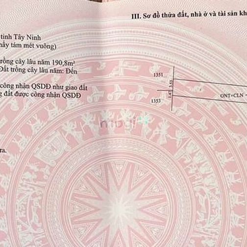 Hình ảnh Bán ngộp khu đất gò dầu cực đẹp, bán lỗ cuối năm