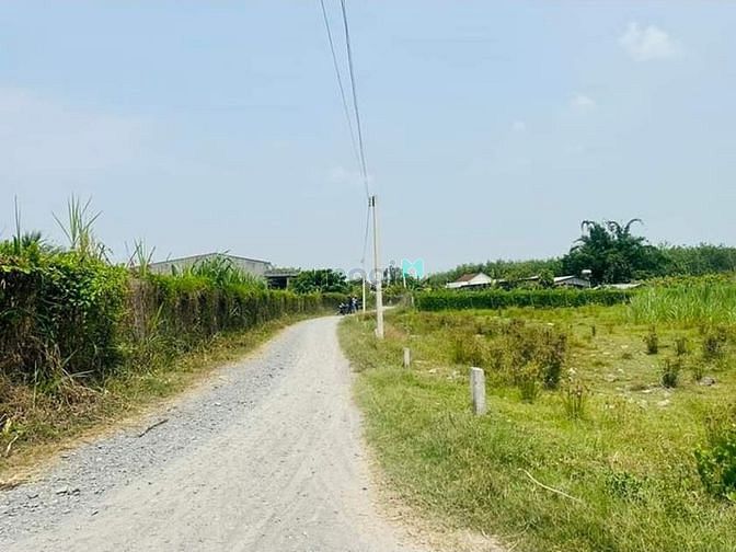 Hình ảnh Đất khu phố 4, phường 3, Thành phố Tây Ninh giá 285 triệu hết 120m2