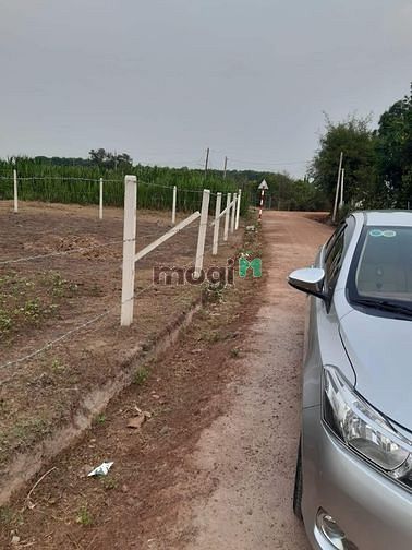 Hình ảnh Đất Tân Lợi, Tân Hưng, Tân Châu. Diện tích 1005,2m2. giáp đường đỏ 48m